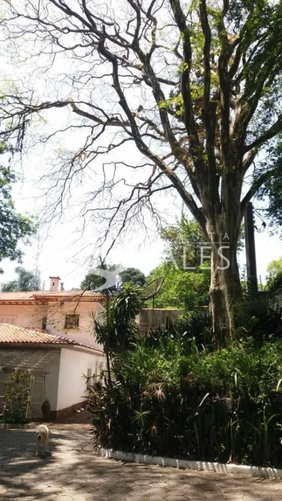Sobrado, 4 quartos, 1300 m² - Foto 9