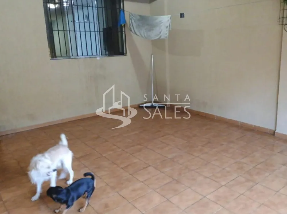 Casa, 2 quartos, 850 m² - Foto 3