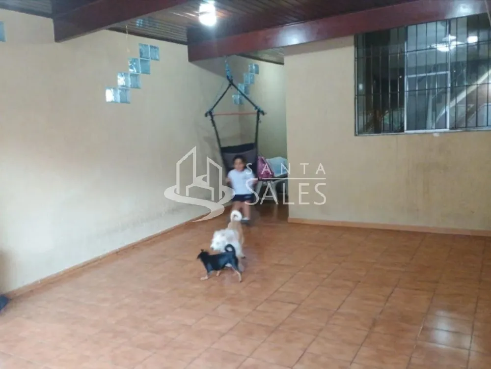 Casa, 2 quartos, 850 m² - Foto 4