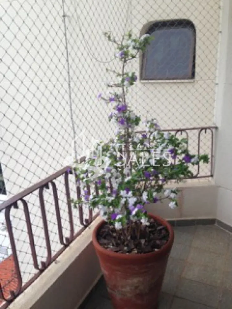 Apartamento, 4 quartos, 350 m² - Foto 4