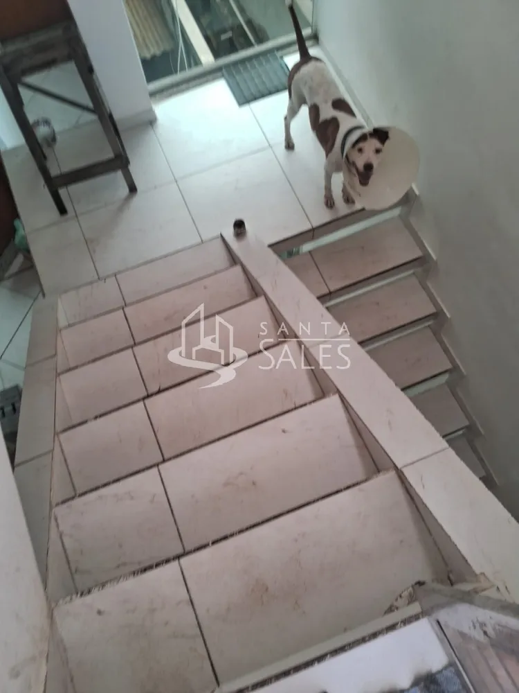 Casa, 6 quartos, 280 m² - Foto 12