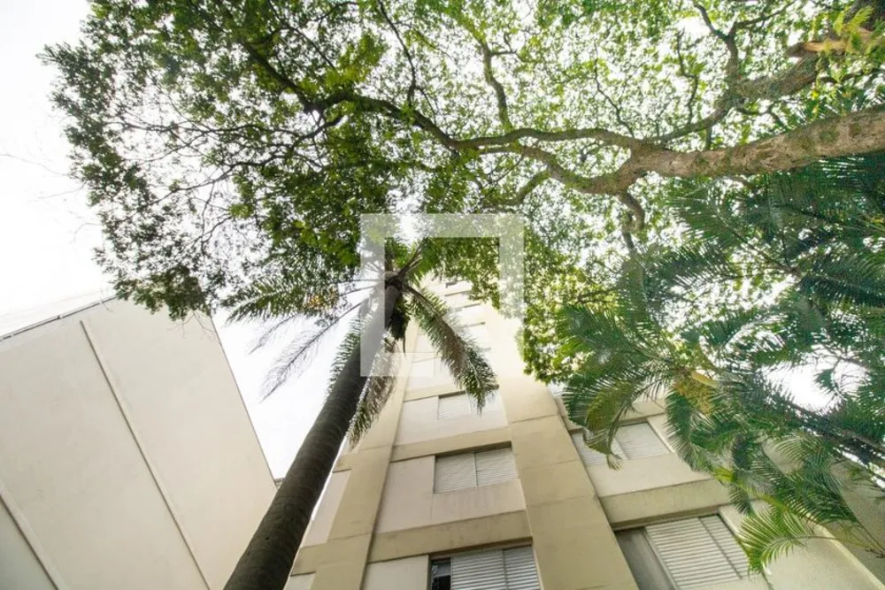 Apartamento, 1 quarto, 33 m² - Foto 4