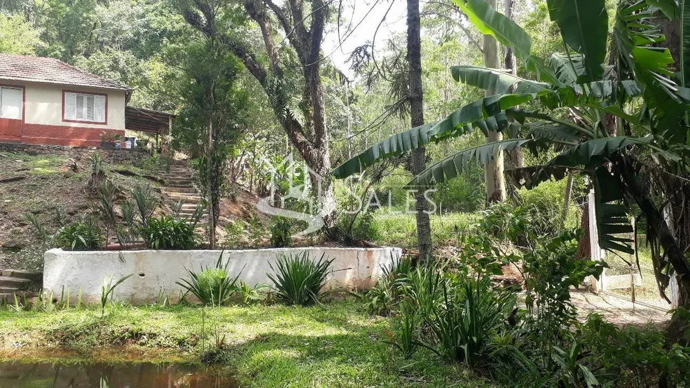 Sítio, 4 quartos, 300 m² - Foto 4