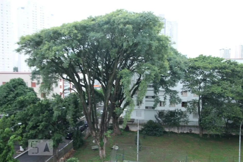 Apartamento, 4 quartos, 140 m² - Foto 5