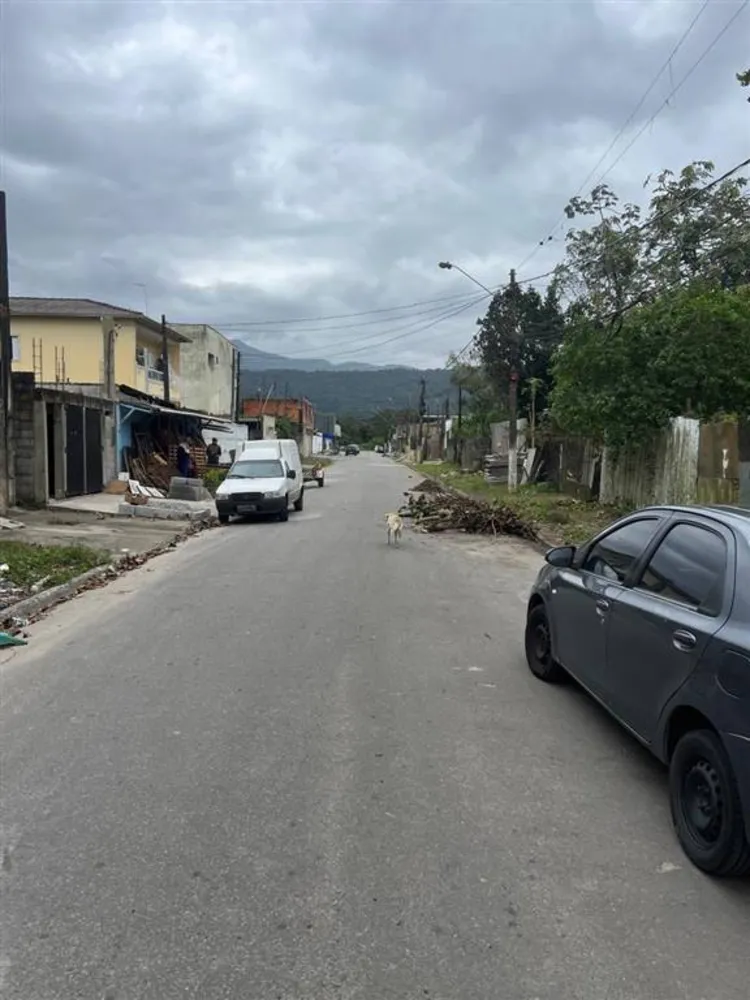 Terreno - Foto 4
