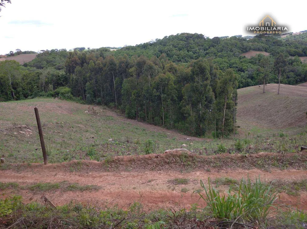 Chácara, 2 quartos, 18 hectares - Foto 2