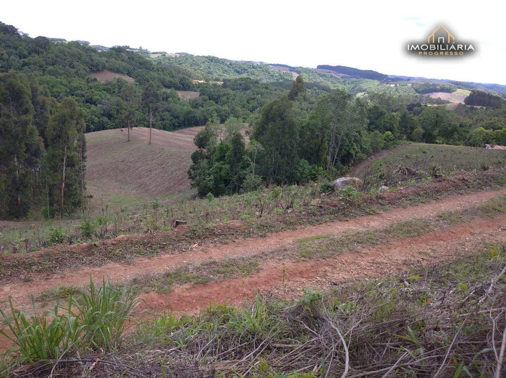 Chácara, 2 quartos, 18 hectares - Foto 1