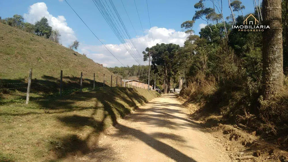 Chácara, 1 quarto, 10000 m² - Foto 1
