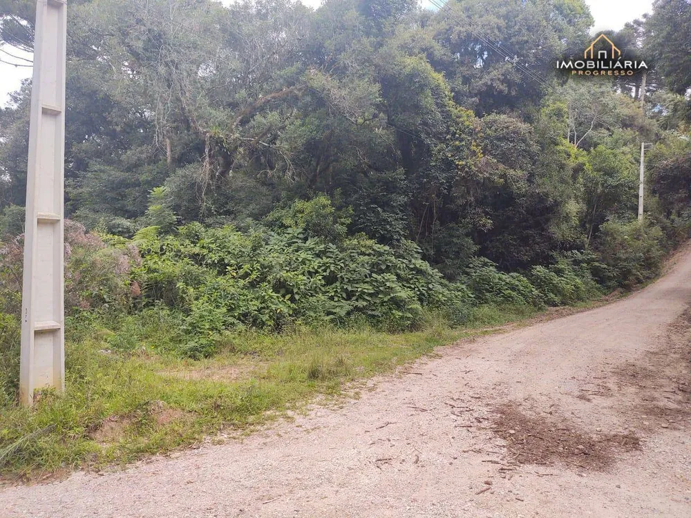 Terreno, 10000 m² - Foto 2