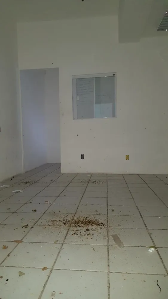 Prédio Inteiro, 517 m² - Foto 8