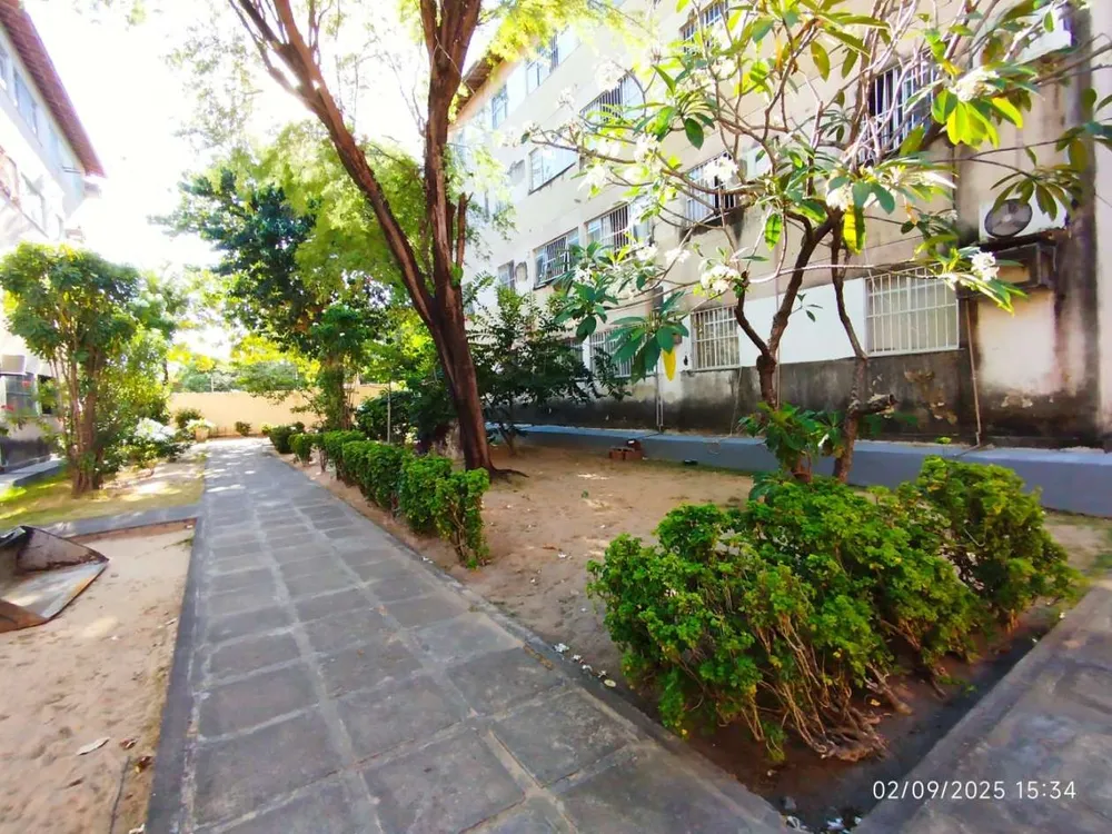 Apartamento, 3 quartos, 60 m² - Foto 4