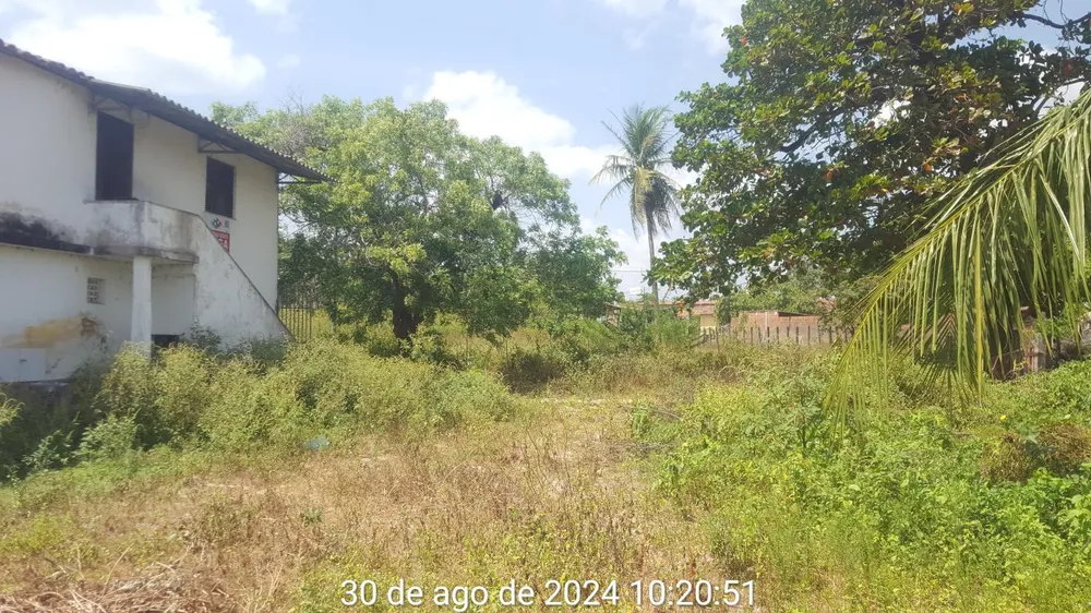 Terreno, 3000 m² - Foto 8