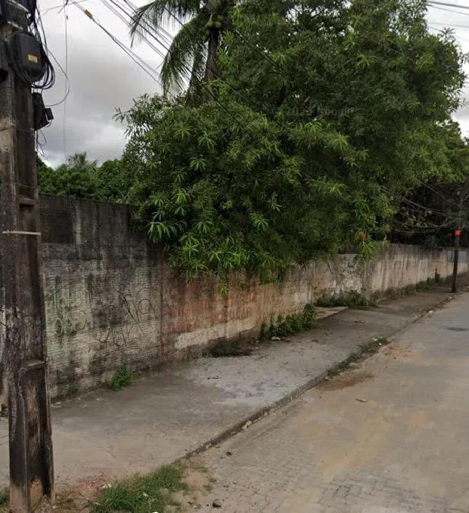 Terreno, 6000 m² - Foto 4