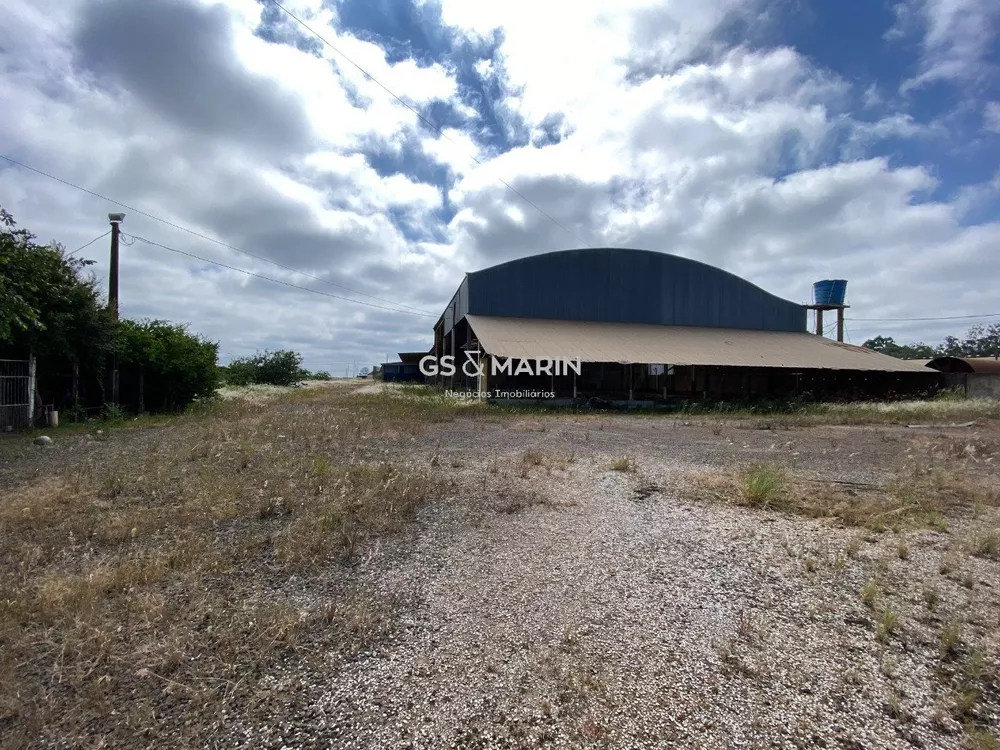 Depósito-Galpão-Armazém à venda e aluguel, 5500m² - Foto 6