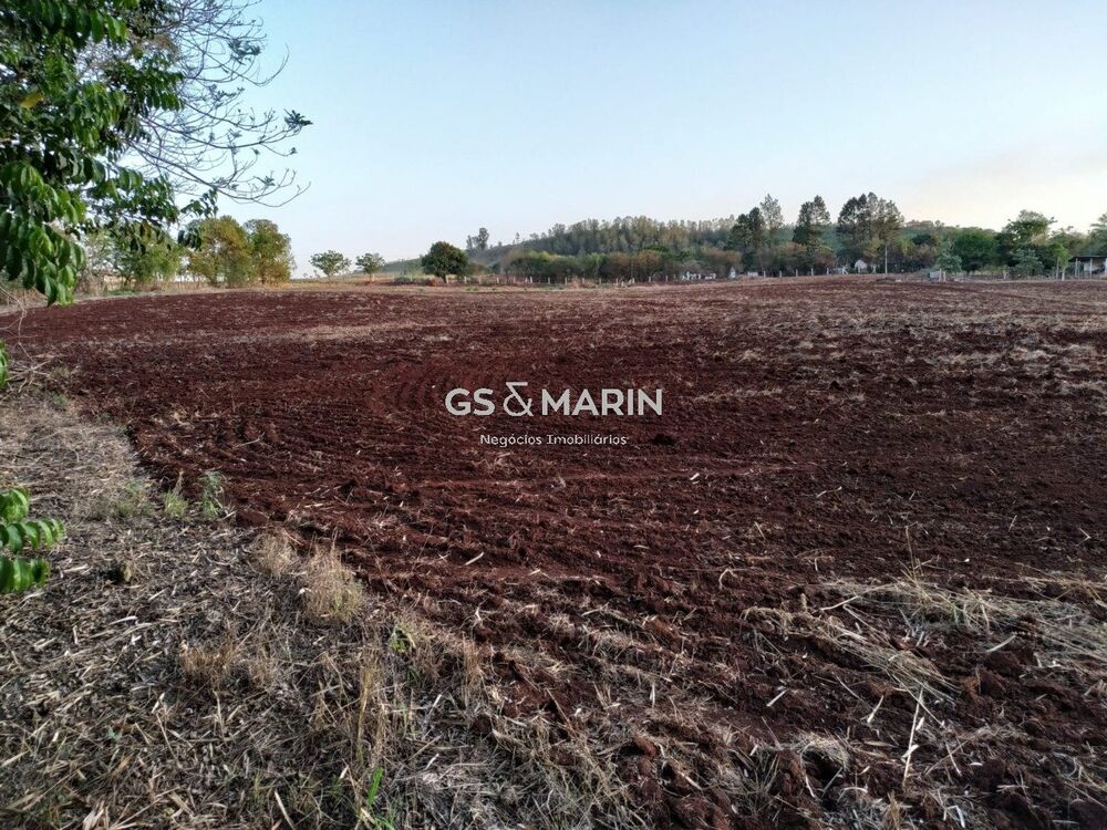 Terreno, 6 hectares - Foto 8