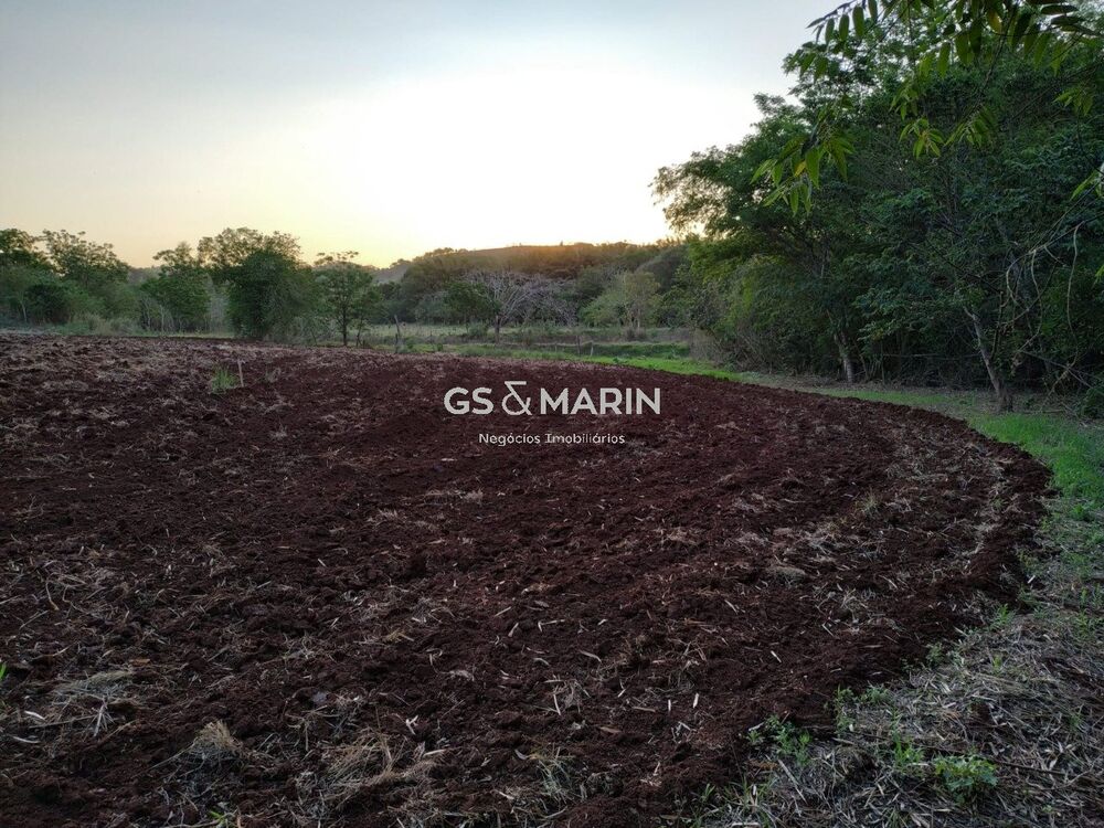 Terreno, 6 hectares - Foto 5