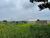 Terreno, 5000 m² - Foto 1