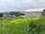 Terreno, 5000 m² - Foto 6