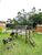 Casa, 4 quartos, 177 m² - Foto 8