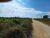 Fazenda, 49 m² - Foto 7