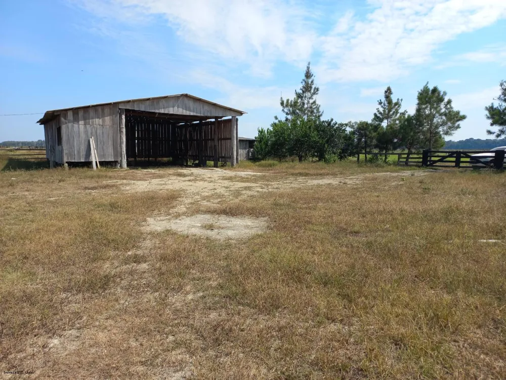 Fazenda, 254 hectares - Foto 7