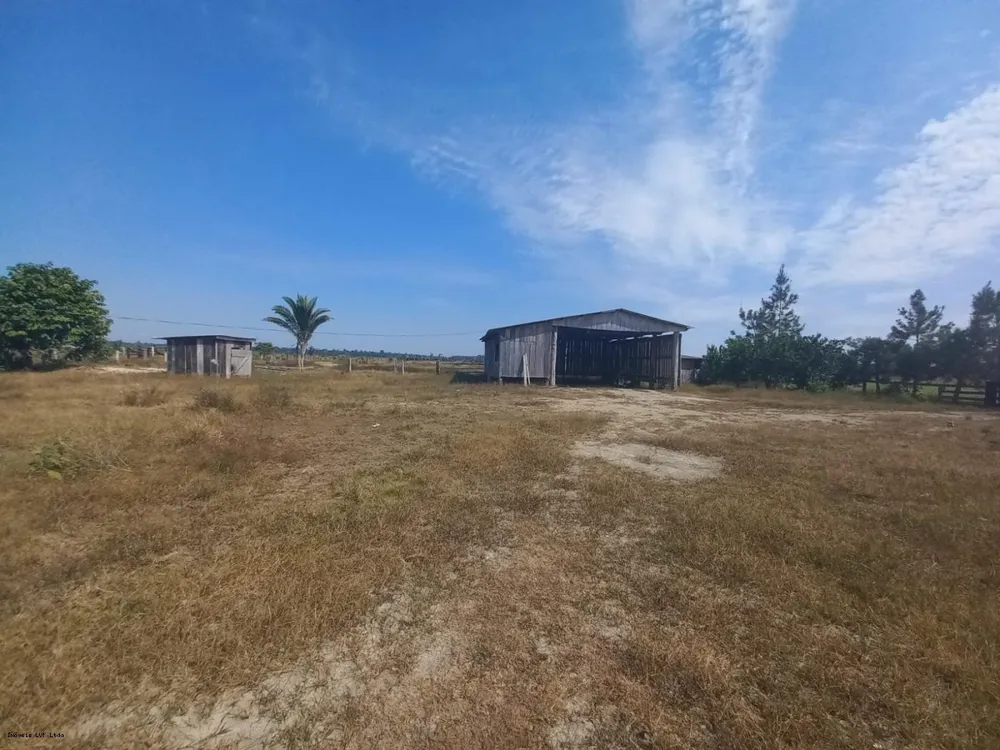 Fazenda, 254 hectares - Foto 6