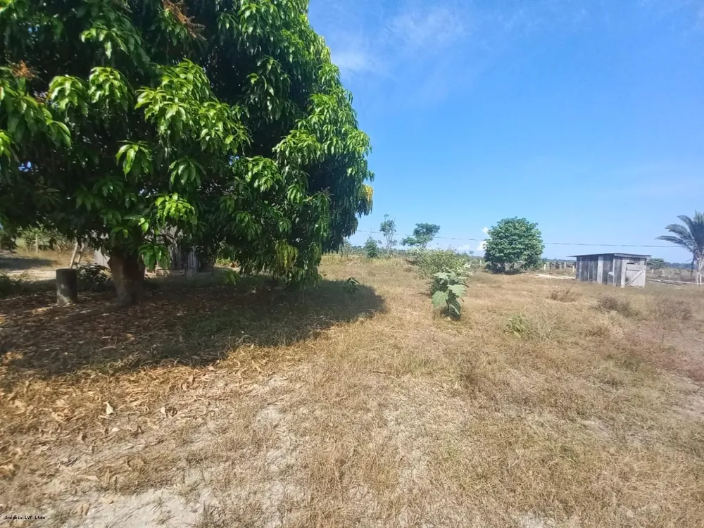 Fazenda, 254 hectares - Foto 8