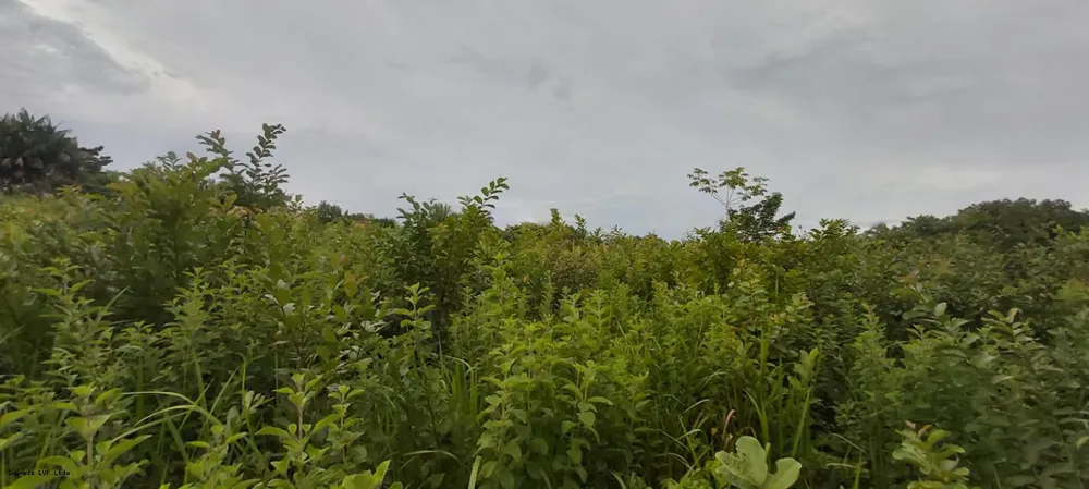 Terreno, 5600 m² - Foto 16