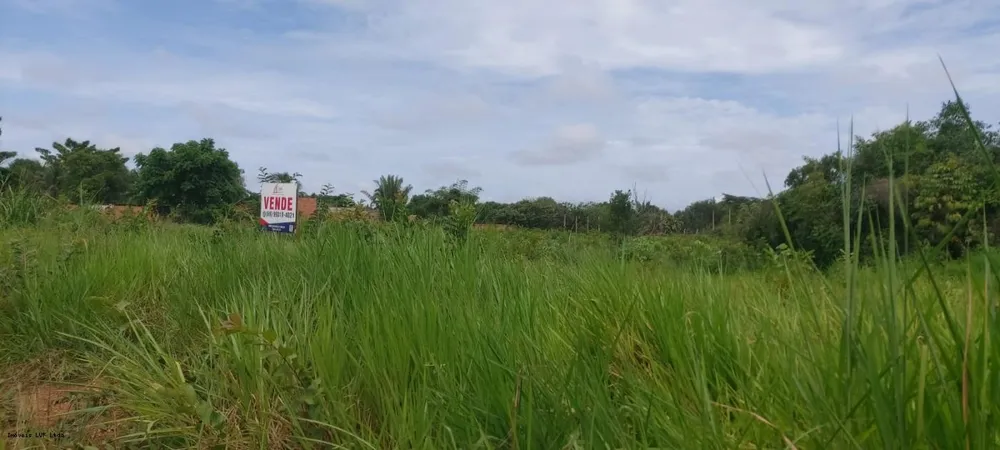 Terreno, 5600 m² - Foto 9