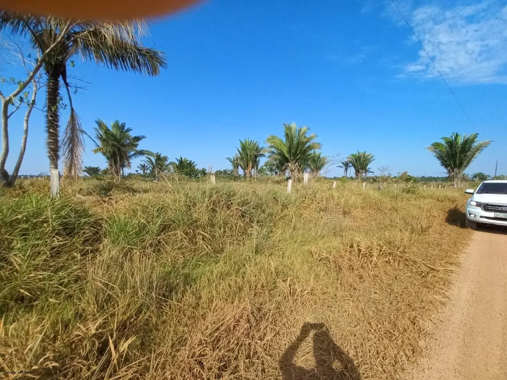 Fazenda, 51 hectares - Foto 1