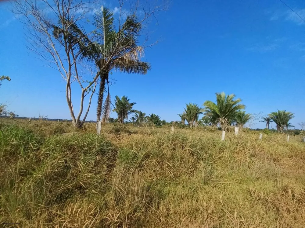 Fazenda, 51 hectares - Foto 2