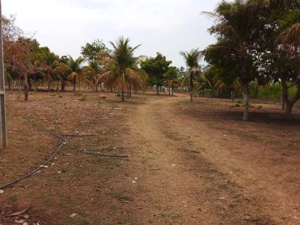 Fazenda, 6 quartos - Foto 15