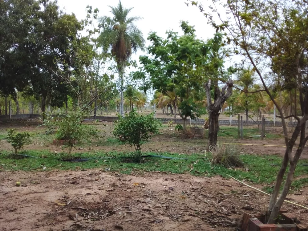 Fazenda, 6 quartos - Foto 14