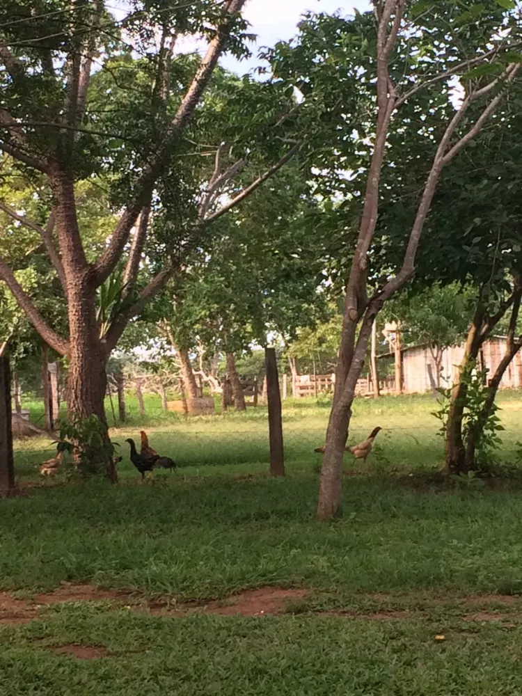 Fazenda - Foto 3