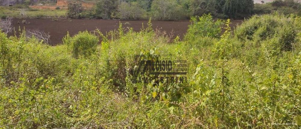 Sítio, 3 hectares - Foto 3