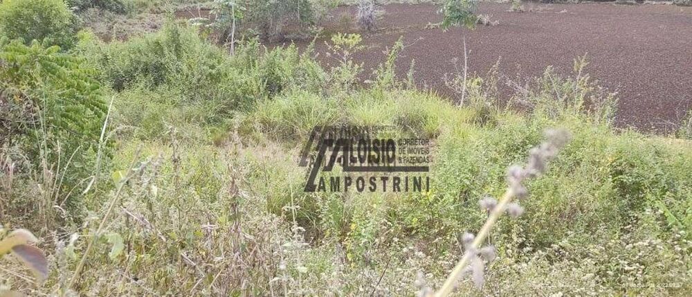 Sítio, 3 hectares - Foto 10