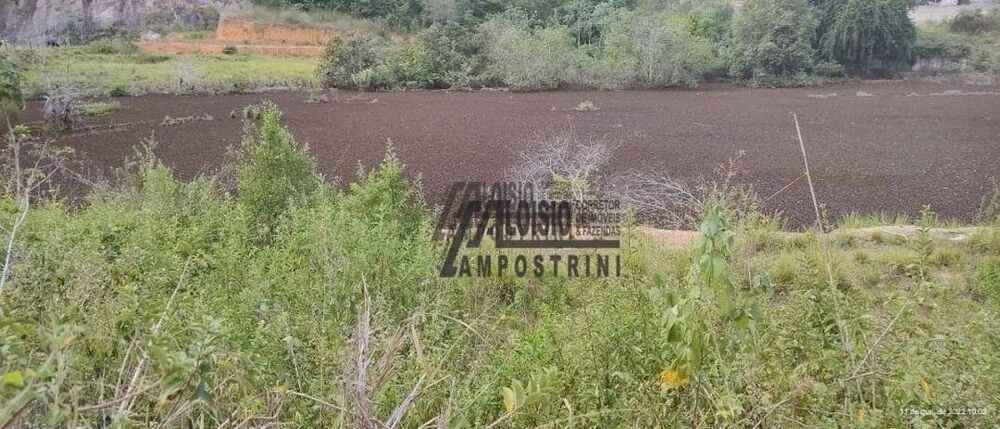 Sítio, 3 hectares - Foto 5