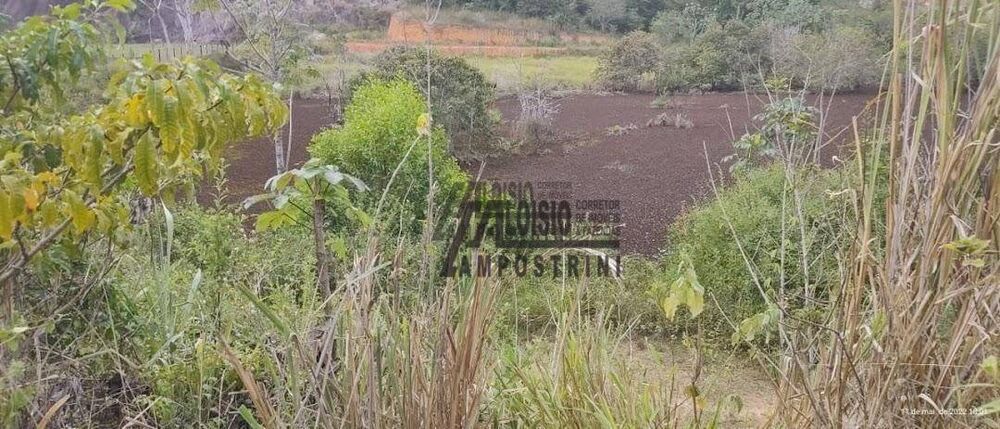 Sítio, 3 hectares - Foto 7