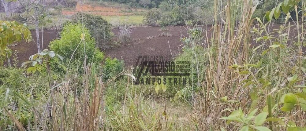 Sítio, 3 hectares - Foto 6