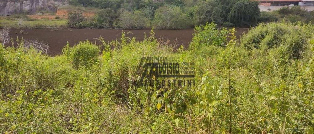 Sítio, 3 hectares - Foto 2