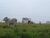 Fazenda-Sítio-Chácara, 6098 hectares - Foto 9
