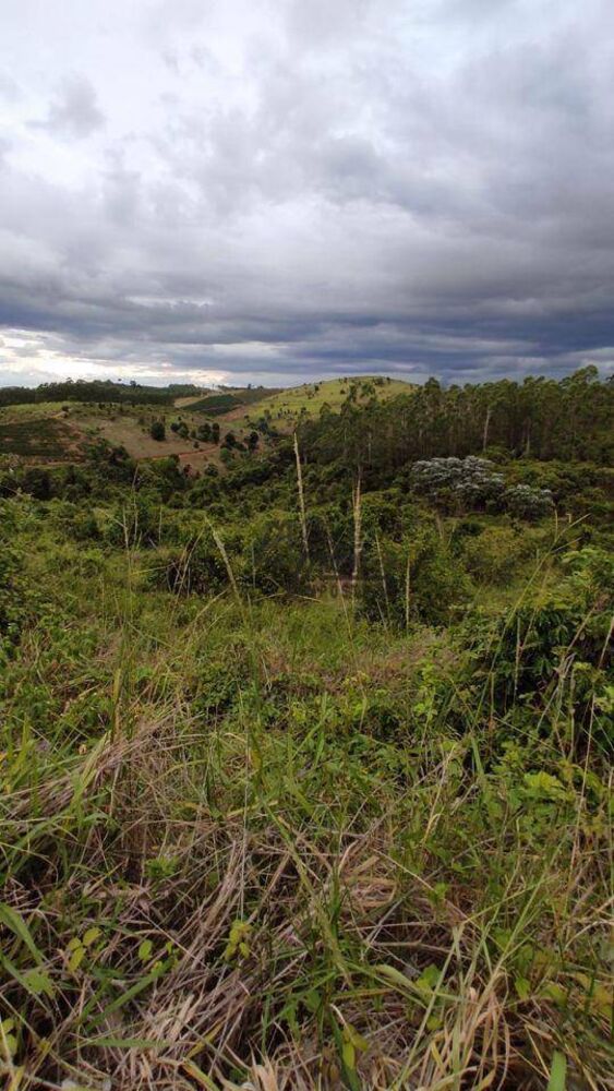 Sítio, 34 hectares - Foto 2