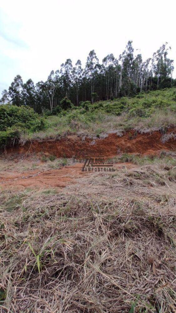 Sítio, 34 hectares - Foto 4