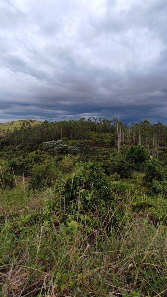 Sítio, 34 hectares - Foto 1