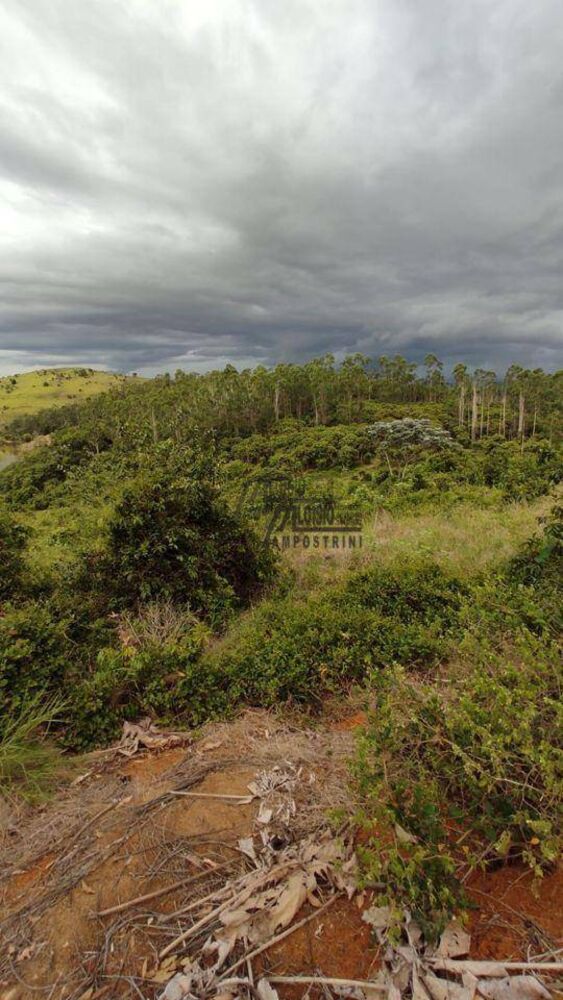 Sítio, 34 hectares - Foto 8