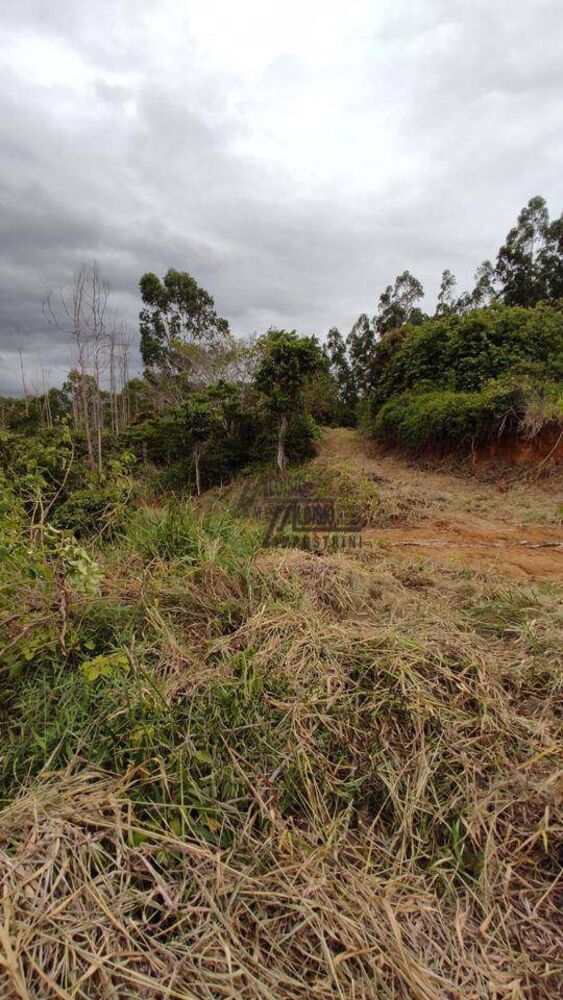 Sítio, 34 hectares - Foto 3