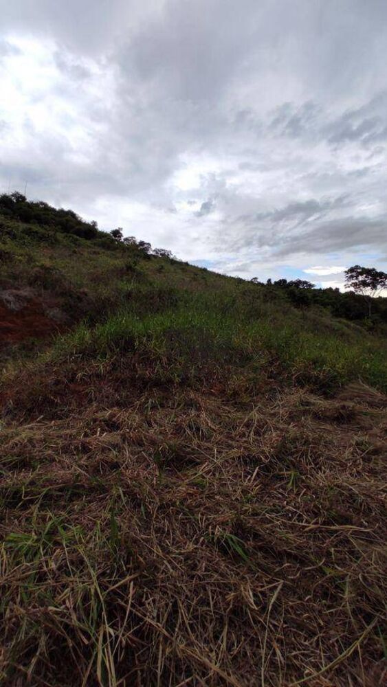 Sítio, 34 hectares - Foto 7