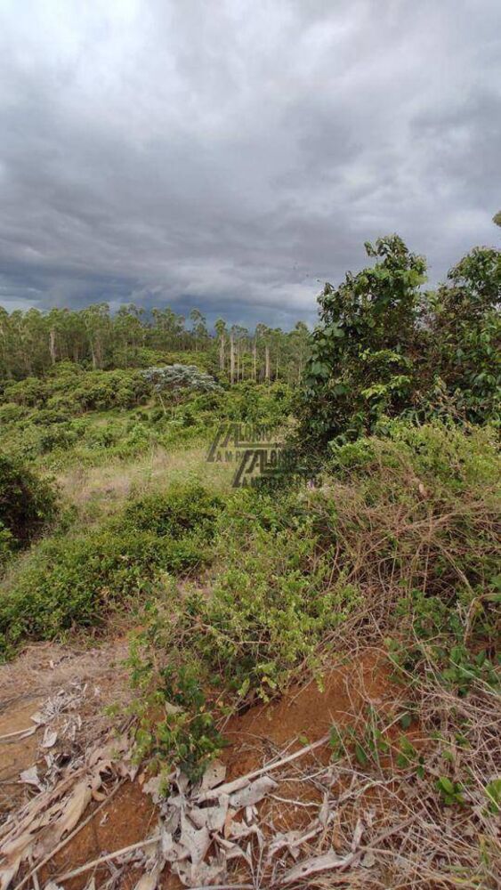 Sítio, 34 hectares - Foto 9