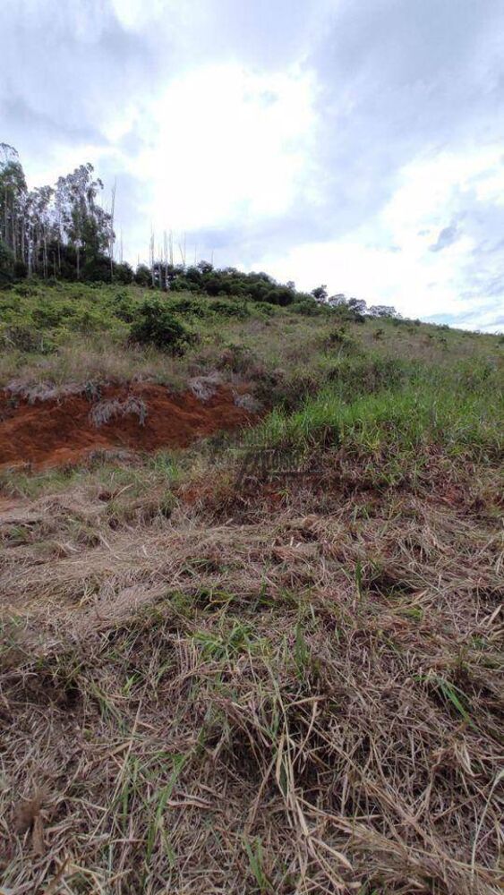 Sítio, 34 hectares - Foto 5