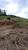 Sítio, 34 hectares - Foto 4